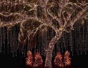 AĞAÇ YILBAŞI IŞIK SÜSLEMESİ, AĞAÇ IŞIK SÜSLEMESİ, AĞAÇ LED SÜSLEMESİ, AĞAÇ IŞIK SÜSLEMELERİ, AĞAÇ IŞIK SÜSLEME,