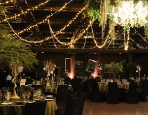 BAHÇE LED IŞIK SÜSLEMESİ,