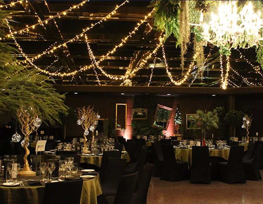 BAHÇE LED IŞIK SÜSLEMESİ,