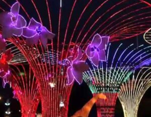 Meydan Yılbaşı Işık Süslemesi