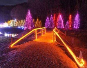 Meydan Yılbaşı Işık Süslemesi