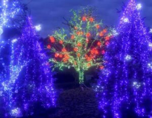 Meydan Yılbaşı Işık Süslemesi