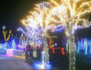 Meydan Yılbaşı Işık Süslemesi