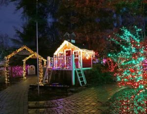 BAHÇE YILBAŞI IŞIK SÜSLEME,